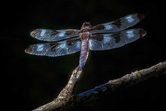 CH190728_Eugene_037-Edit-Edit