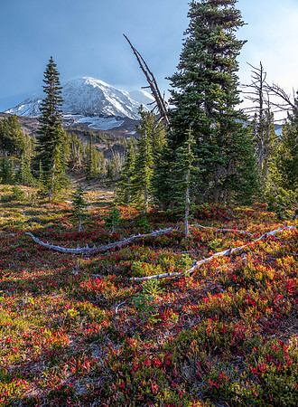 CH201002_Mt. Adams_262
