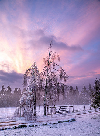 CH210215_IceStorm_013