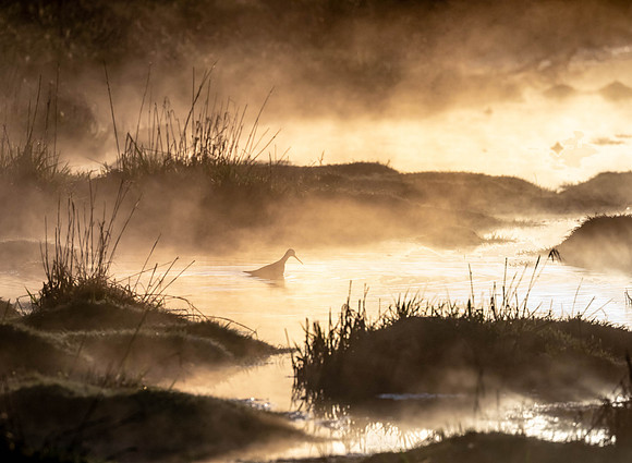 CH210418_Coffee Lake Sunrise_055