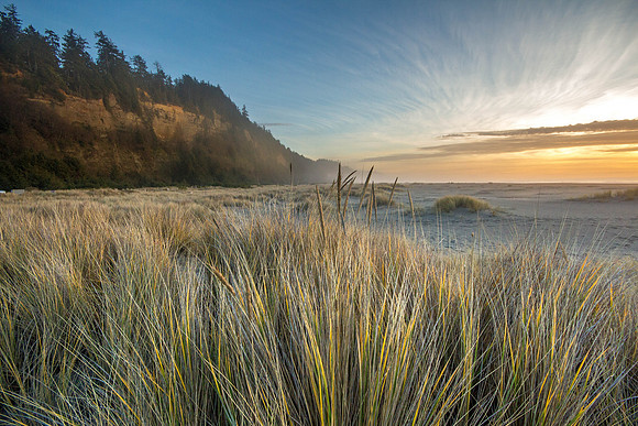CH131223_GoldenBluffsBeach_025