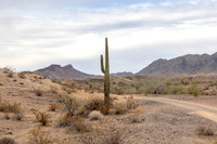 CH250328_BouseHorseCamp-025