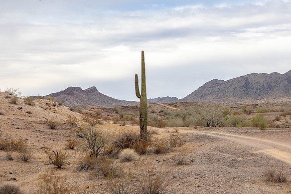 CH250328_BouseHorseCamp-025
