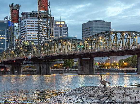 CH170520_PDXsquared_232