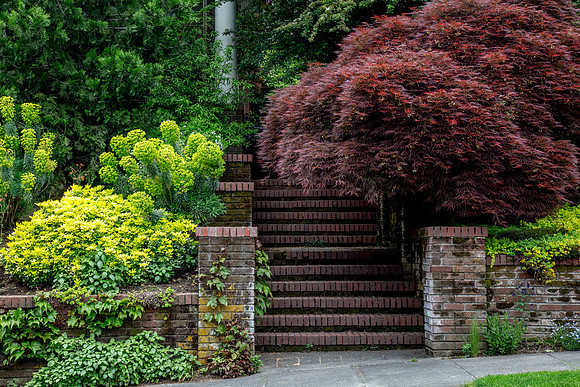 CH170520_PDXsquared_390