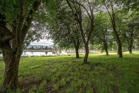 CH170520_PDXsquared_409-HDR