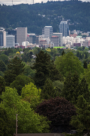 CH170520_PDXsquared_449
