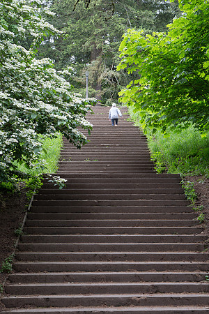 CH170520_PDXsquared_450