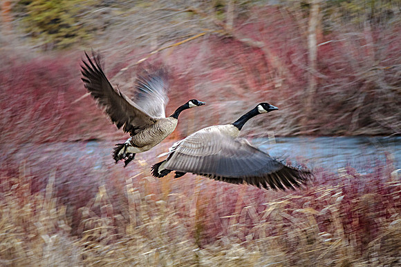 CH140324_TumaloStatePark_040-Edit-2