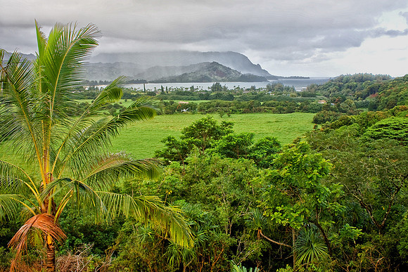 CH111221_Hawaii2011_Day4_96 as Smart Object-1