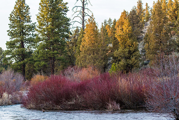 CH140324_TumaloStatePark_045
