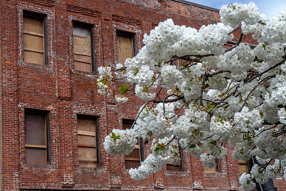 CH160319_OldTownPDX_033