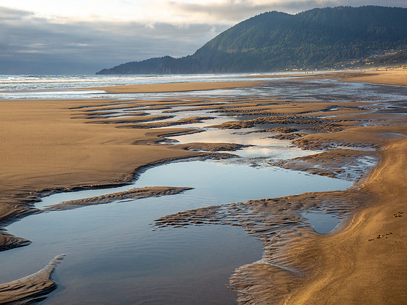 CH180801_Manzanita_004
