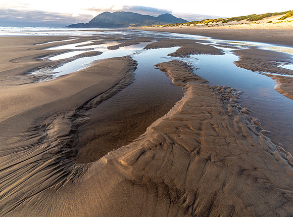 CH180801_Manzanita_009