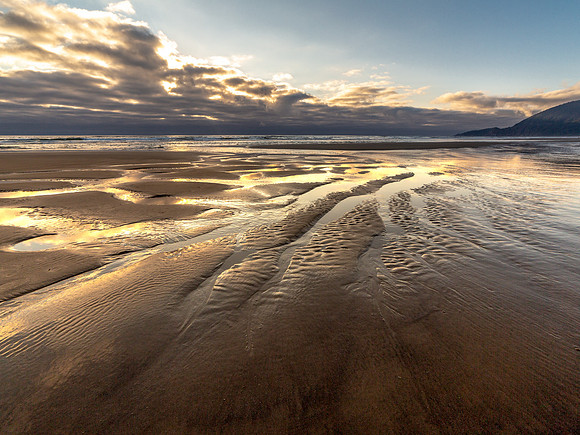 CH180801_Manzanita_016