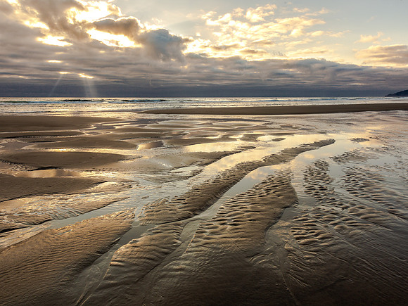 CH180801_Manzanita_020