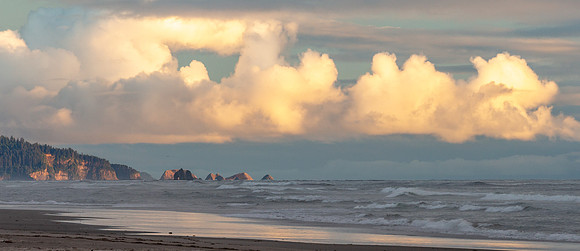 CH180802_Manzanita_029