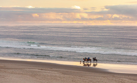 CH180802_Manzanita_049