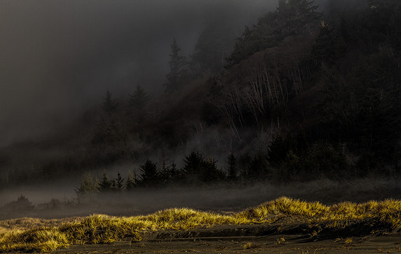 CH131224_GoldenBluffsBeach_063-Edit-Edit