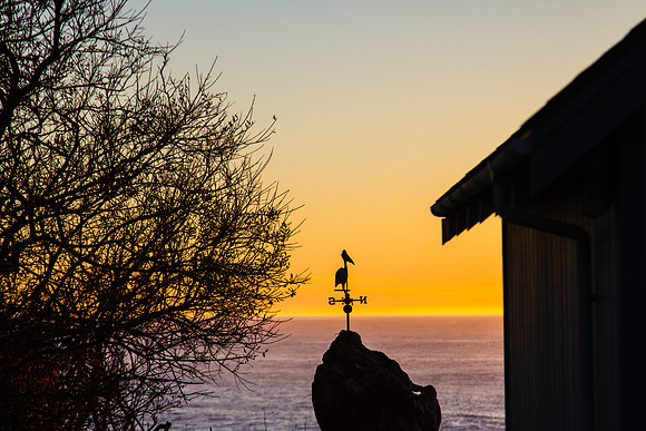 CH131226_ShelterCove_002-3