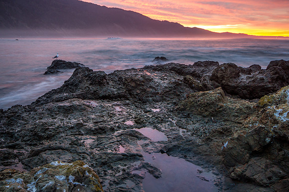 CH131226_ShelterCove_021-4