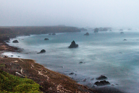 CH131228_MacKerricherStatePark_002