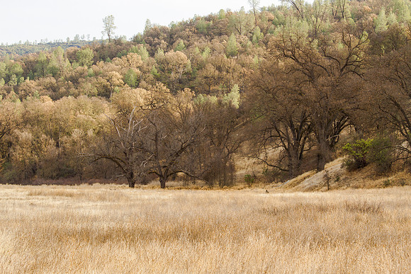 CH140101_CacheCreek_001