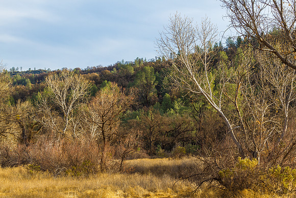 CH140101_CacheCreek_009
