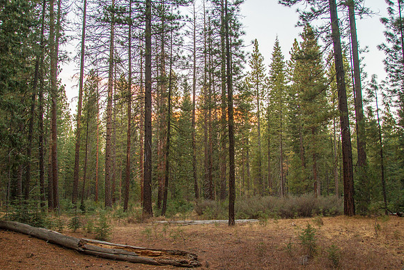 CH140103_CattleCamp_004
