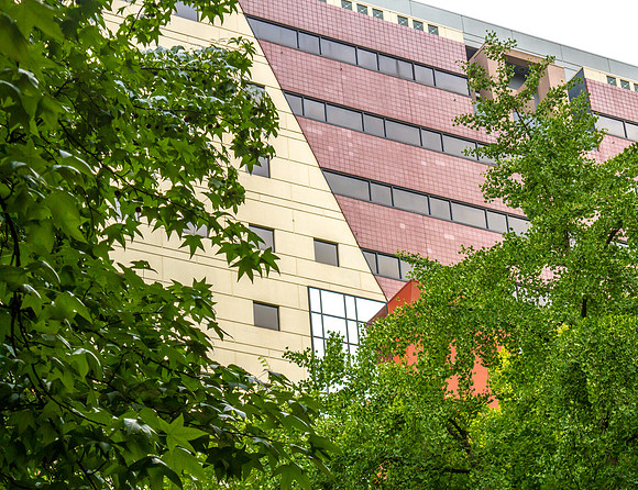 CH150725_PortlandScenes_076