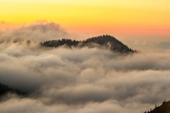 CH140721_OlympicPeninsula_HurricaneRidge_100
