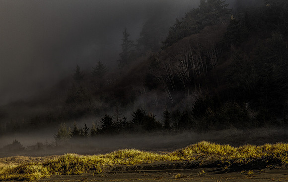 CH131224_GoldenBluffsBeach_063-Edit-Edit