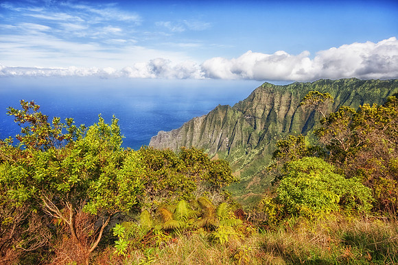 CH111223_Hawaii2011_Day6_60 as Smart Object-1