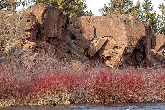 CH140324_TumaloStatePark_002