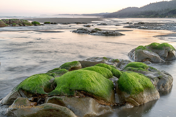 CH140726_OlympicPeninsula_RubyBeach_174