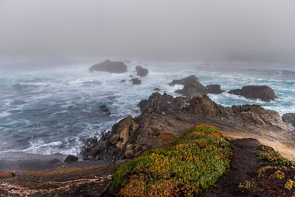 CH131228_MacKerricherStatePark_026