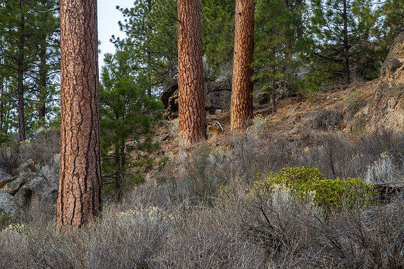 CH140326_Bend_ShevlinPark_002