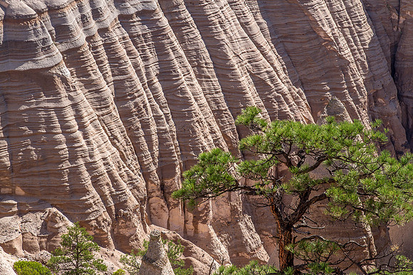 CH150708_SantaFe_318-2