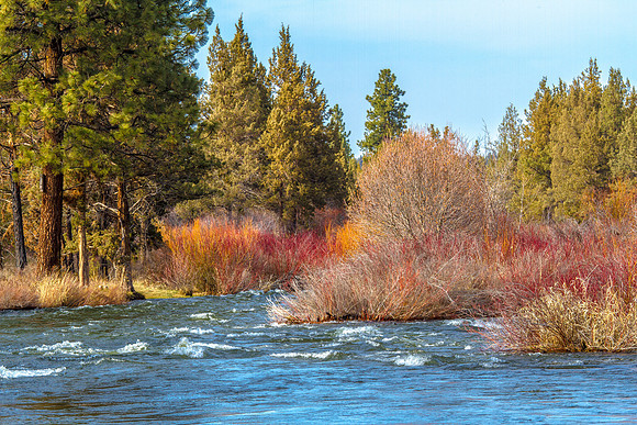 CH140324_TumaloStatePark_008