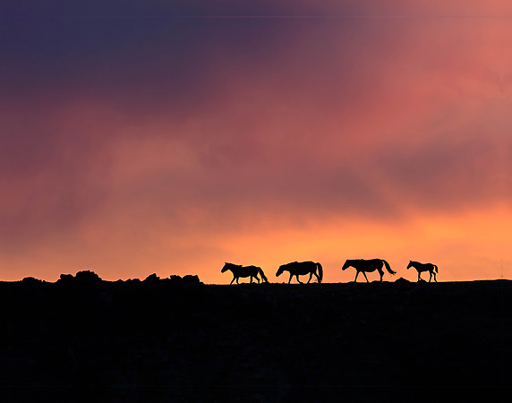 CH170711_HorseTrekDay1_055-Edit-Edit