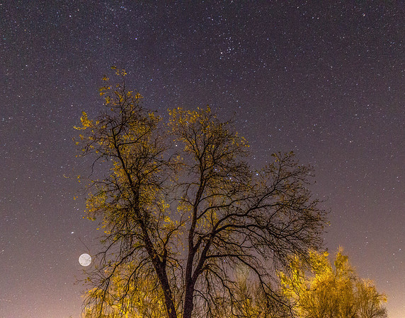 CH151230_Oroville_007-2-Edit