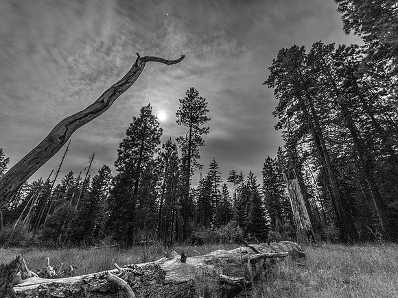 CH180621_SheepSprings_095-HDR-Edit