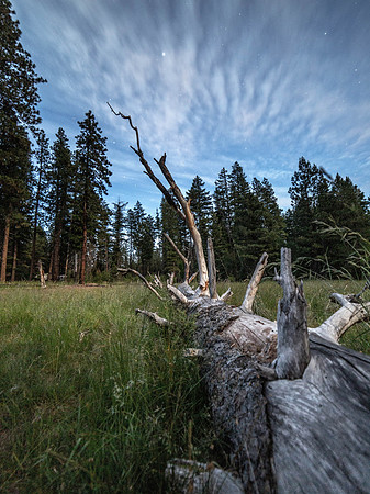 CH180621_SheepSprings_096