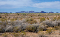 CH250326_BouseHorseCamp-101