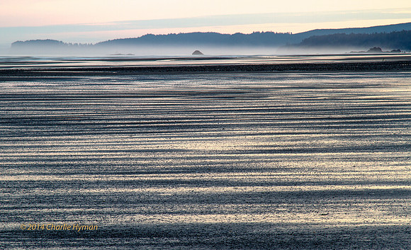 CH140726_OlympicPeninsula_RubyBeach_160