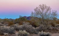 Arizona Deserts