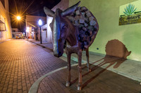 CH150704_SantaFe_340
