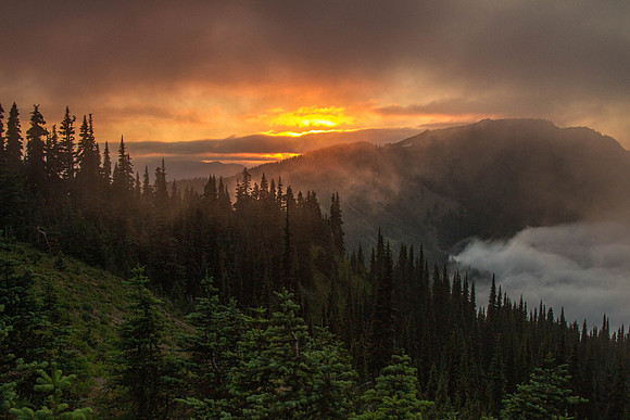 CH140721_OlympicPeninsula_HurricaneRidgeSunset_094