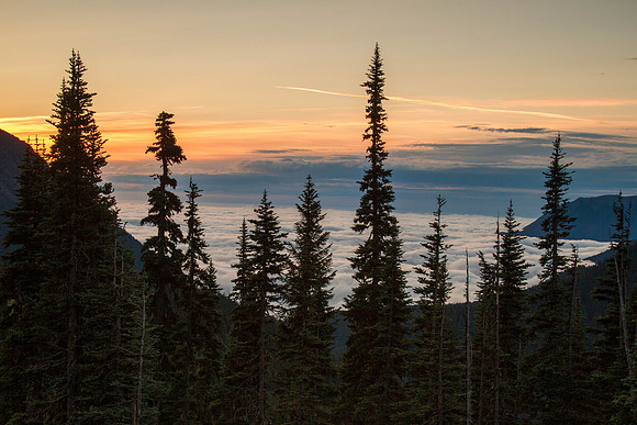 CH140722_OlympicPeninsula_HurricaneRidgeSunrise_029