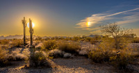 CH250325_BouseHorseCamp-021